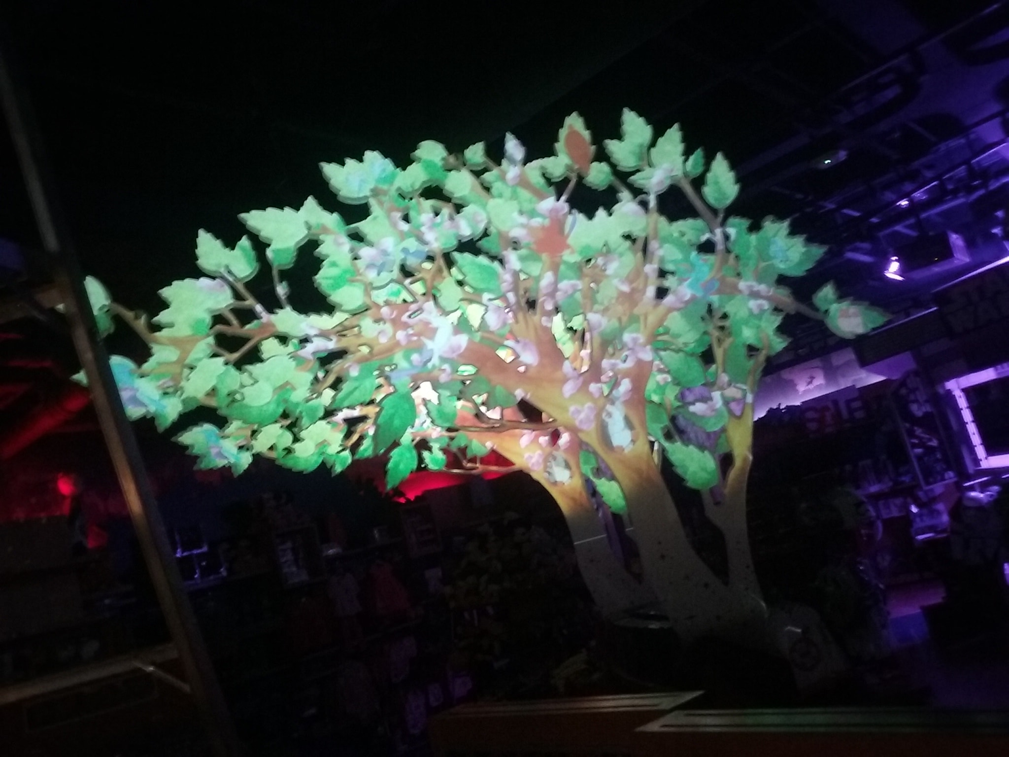 Illuminated tree projection with neon lighting — fine art AV installation